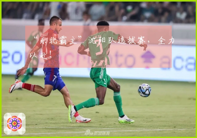 “东北霸主”沈阳队选拔赛，全力以赴！