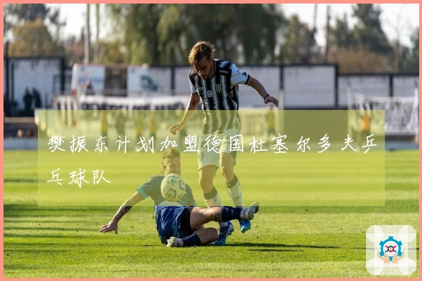 樊振东计划加盟德国杜塞尔多夫乒乓球队